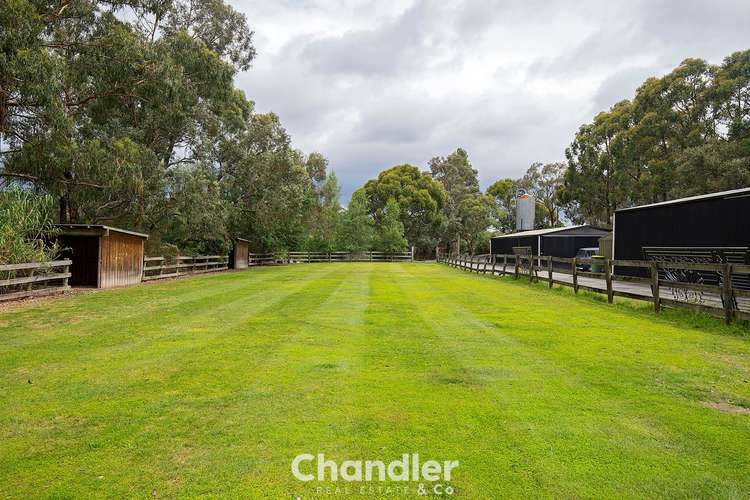 Fifth view of Homely house listing, 74 Blumm Road, Belgrave South VIC 3160