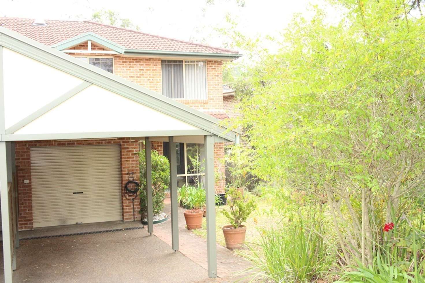 Main view of Homely semiDetached listing, 37B Carnarvon Drive, Frenchs Forest NSW 2086