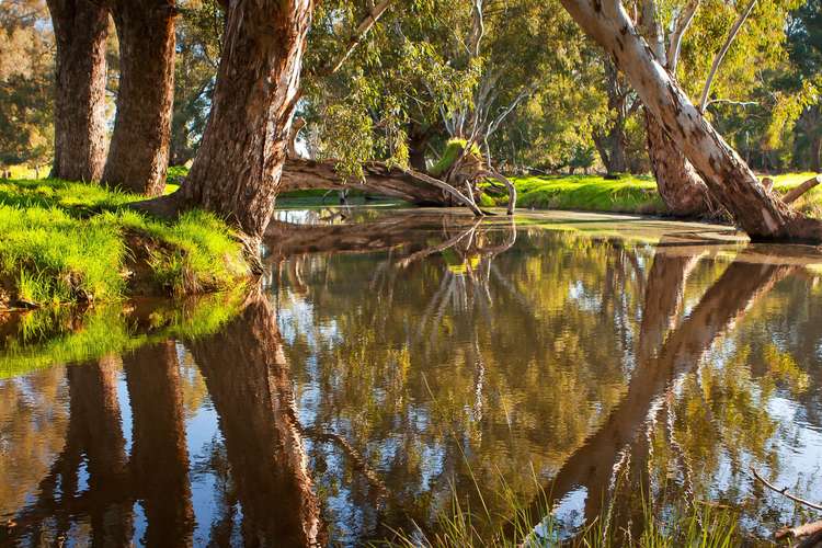 Seventh view of Homely residentialLand listing, LOT 505, 2 Coutts Lane, Killara VIC 3691