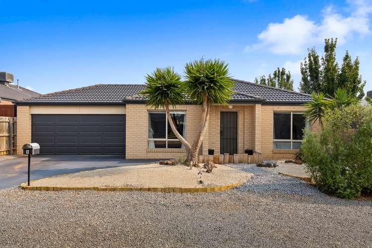 Main view of Homely house listing, 8 Simmons Drive, Bacchus Marsh VIC 3340