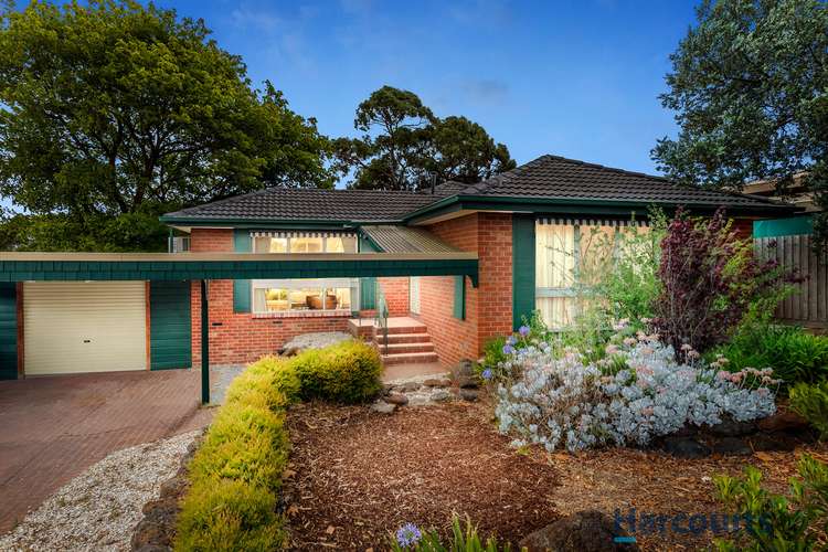 6 Alderbrook Avenue, Mulgrave VIC 3170