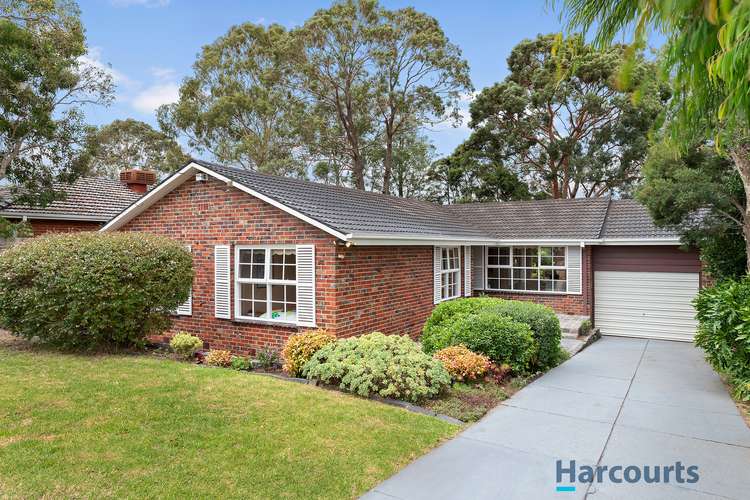 Main view of Homely house listing, 28 Campbell Street, Glen Waverley VIC 3150