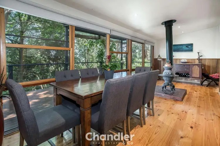 Main view of Homely house listing, 224 Olinda-Monbulk Road, Monbulk VIC 3793