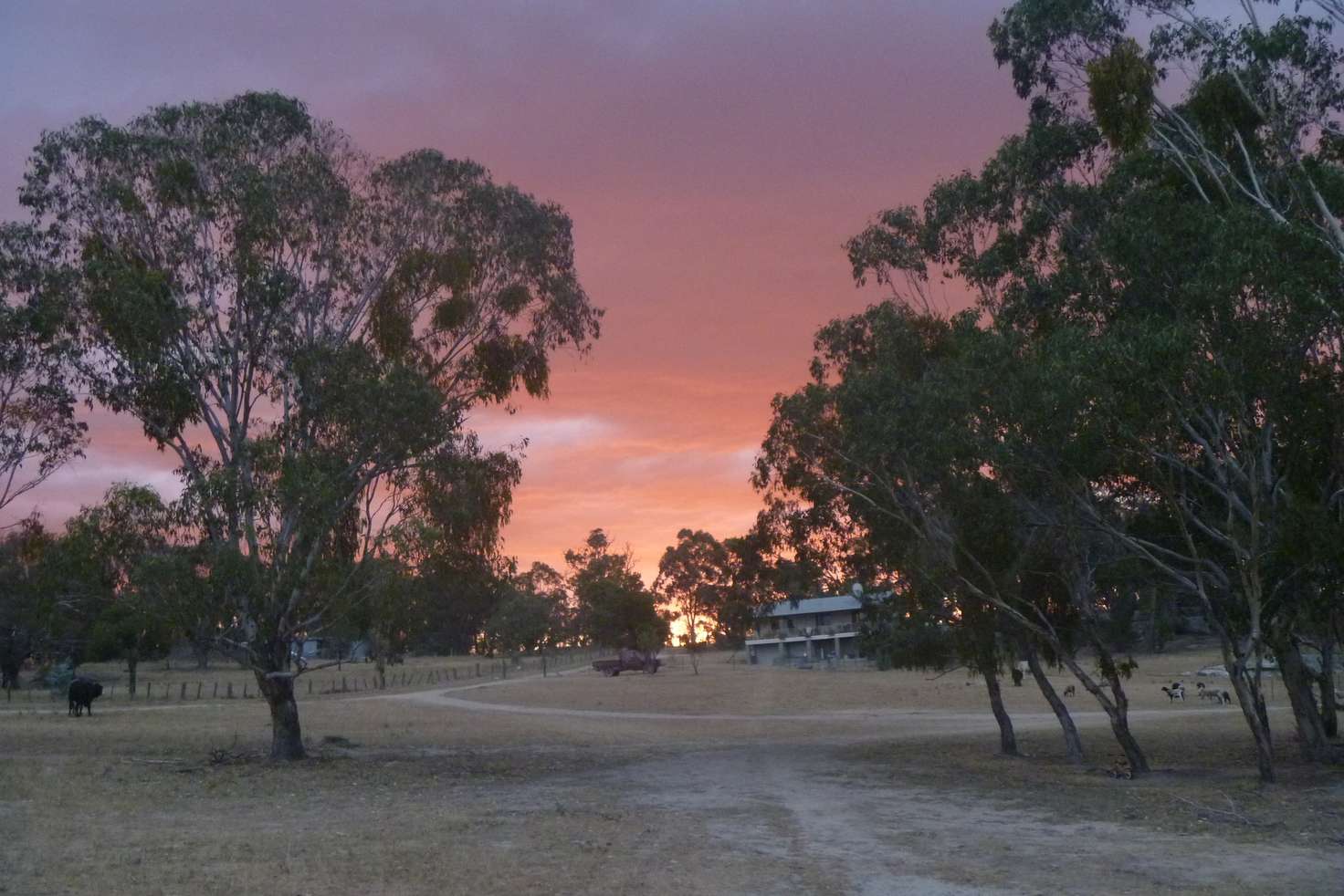 Main view of Homely ruralOther listing, 641 Balala Road, Balala NSW 2358