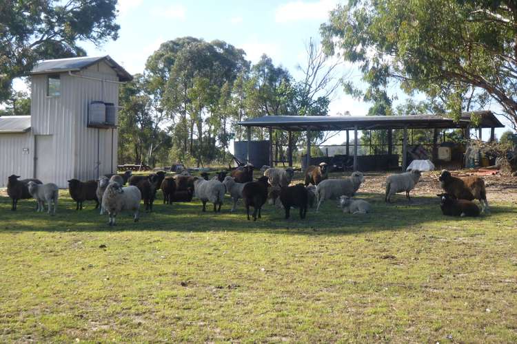 Fifth view of Homely ruralOther listing, 641 Balala Road, Balala NSW 2358