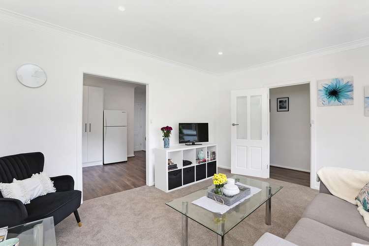 Fifth view of Homely house listing, 23 Bailey Street, Belmont VIC 3216