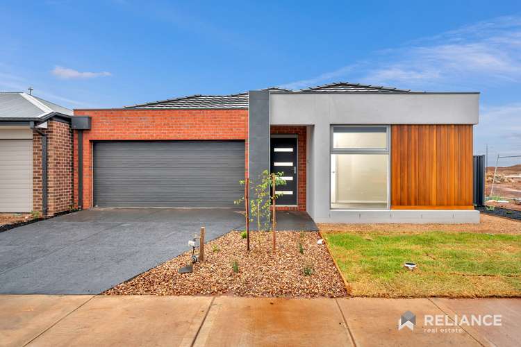 Main view of Homely house listing, 17 Stonefly Circuit, Melton South VIC 3338