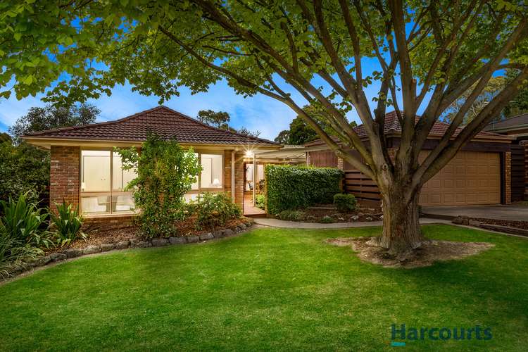 6 Winswood Close, Vermont South VIC 3133