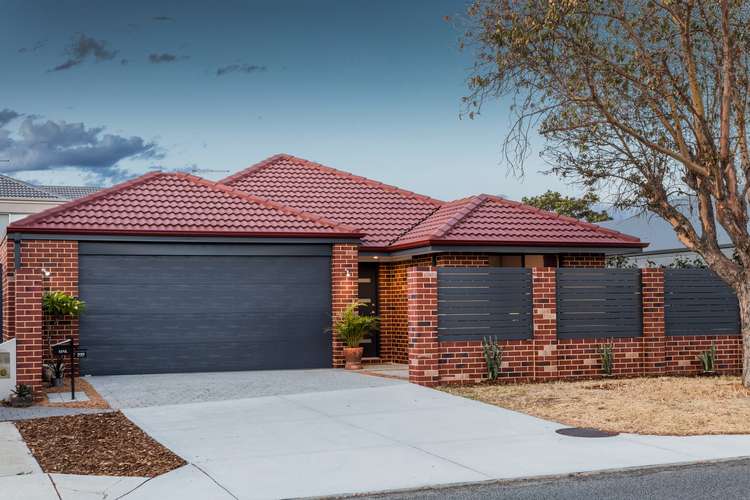 Main view of Homely house listing, 232 St Brigids Terrace, Doubleview WA 6018