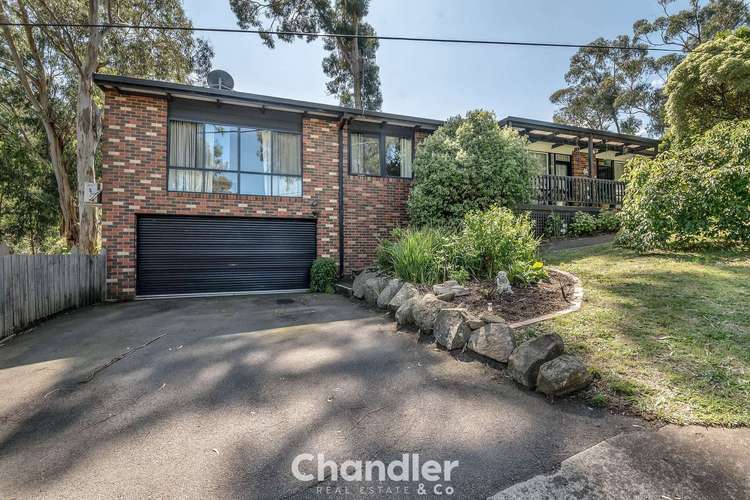 Main view of Homely house listing, 95 Mast Gully Road, Upwey VIC 3158