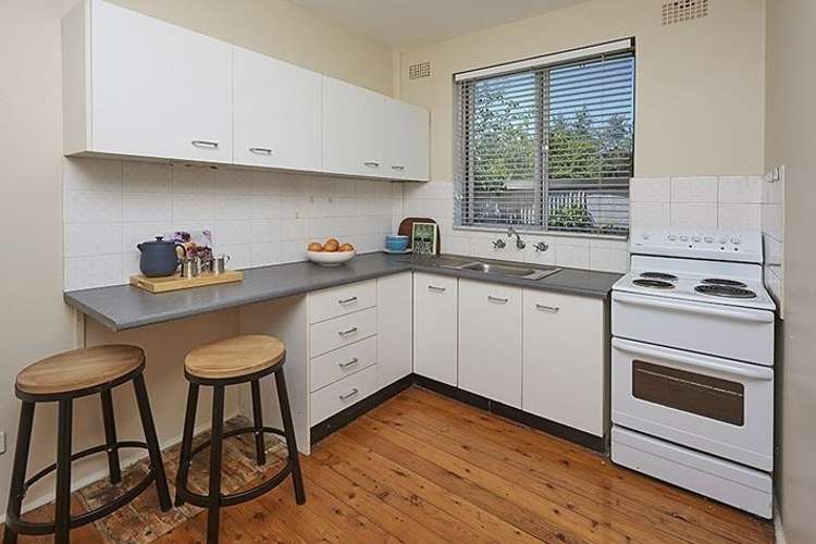 Second view of Homely apartment listing, 1/24 Barnsbury Grove, Dulwich Hill NSW 2203
