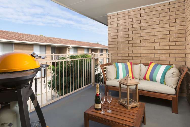 Main view of Homely unit listing, 8/436 Macauley Street, Albury NSW 2640