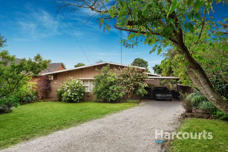 Fifth view of Homely house listing, 14 Trevor Court, Mount Waverley VIC 3149