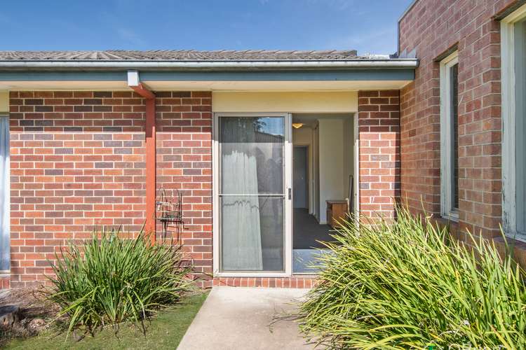 Main view of Homely studio listing, 3/14 Sandpiper Place, Frankston VIC 3199