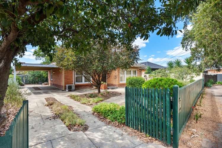 19 Atkell Avenue, Campbelltown SA 5074