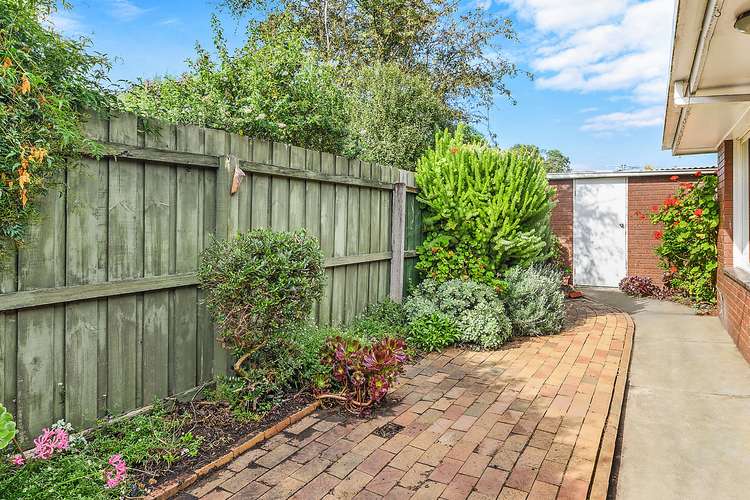 Sixth view of Homely unit listing, 3/346 Myers Street, East Geelong VIC 3219