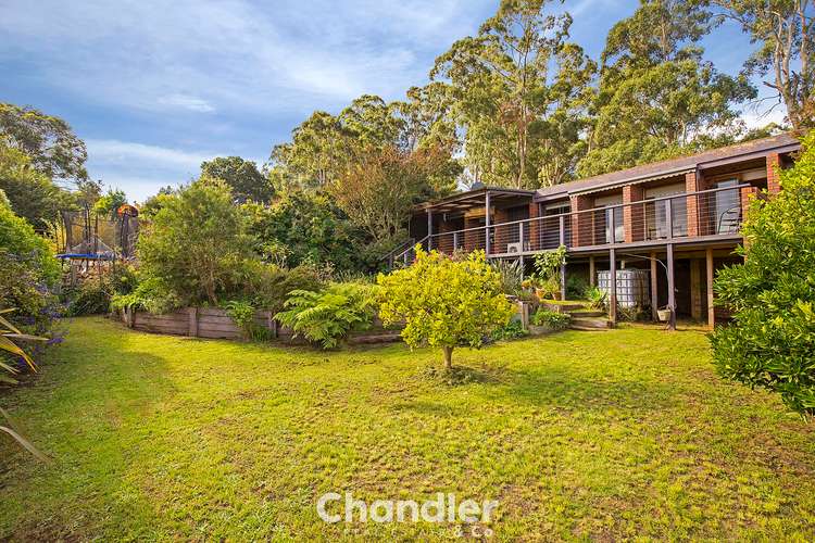 Second view of Homely house listing, 11 Jacksons Hill Road, Menzies Creek VIC 3159