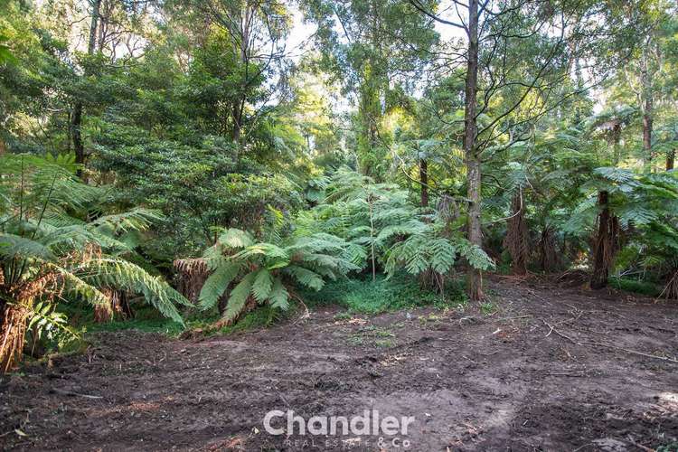 Second view of Homely residentialLand listing, 50 Hazelvale Road, Tecoma VIC 3160
