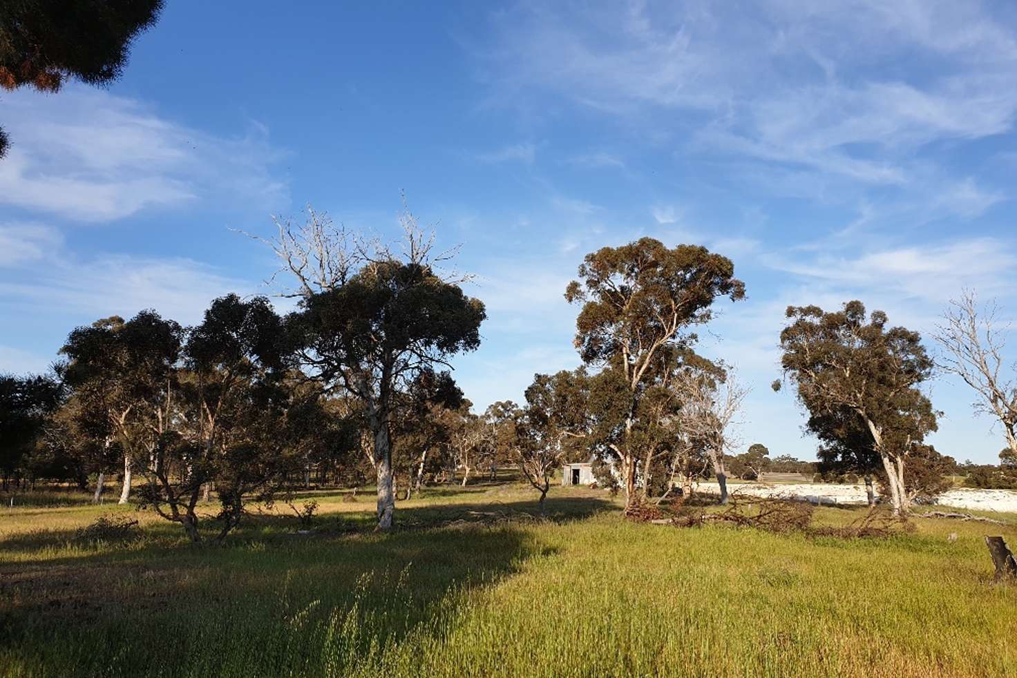 Main view of Homely residentialLand listing, 56 Pinwerning Road, Katanning WA 6317