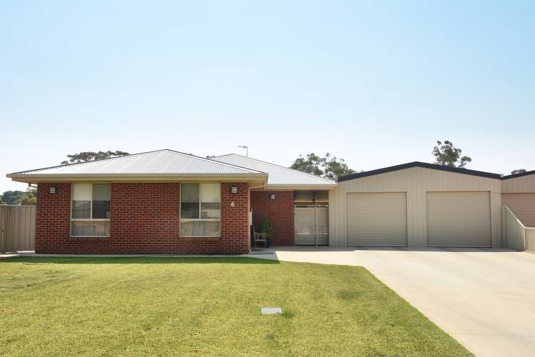 6 Glenda Court, Robinvale VIC 3549