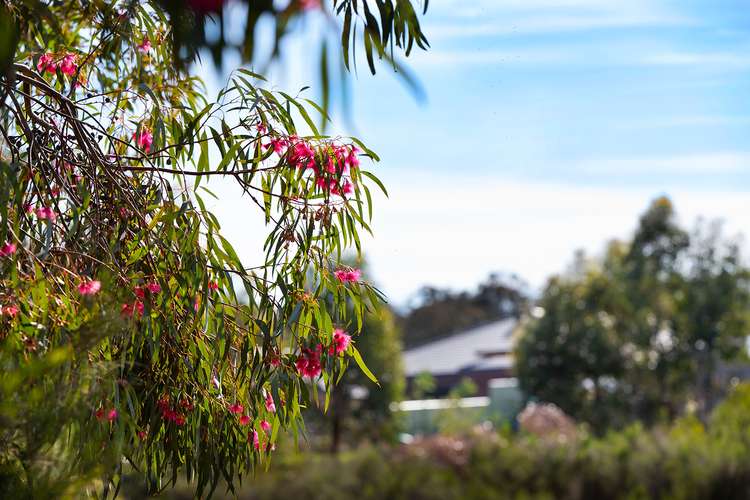 Fifth view of Homely residentialLand listing, LOT 18 Argyll Drive, Junortoun VIC 3551