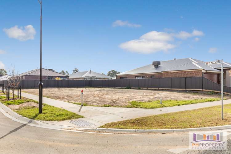 Second view of Homely residentialLand listing, 7 Priest Street, White Hills VIC 3550