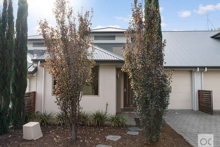 Main view of Homely townhouse listing, 33G Edward Street, Magill SA 5072