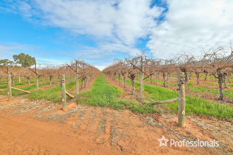 Sixth view of Homely viticulture listing, 248 Sunnycliffs Crescent, Sunnycliffs VIC 3496