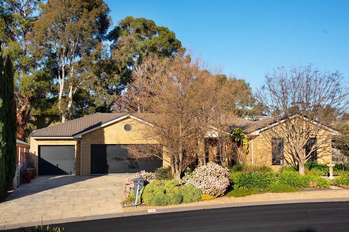 Main view of Homely house listing, 14 Isabella Grove, Strathdale VIC 3550