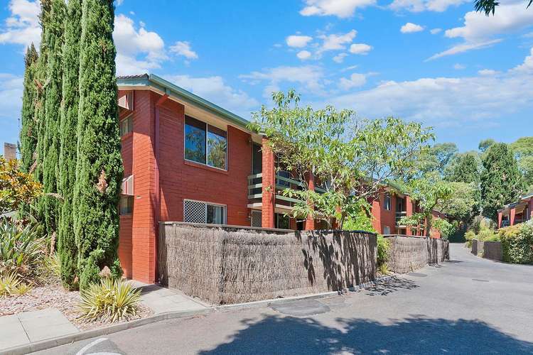 Main view of Homely unit listing, 1/62 William Street, Norwood SA 5067