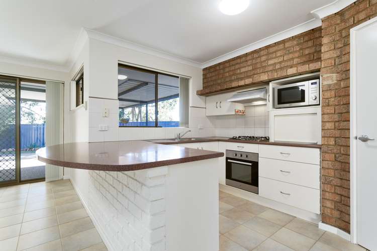 Main view of Homely semiDetached listing, 34 Bertal Way, Balcatta WA 6021