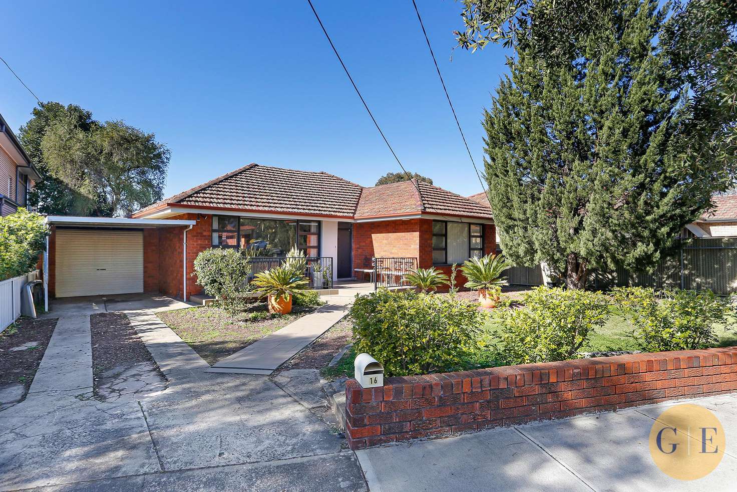 Main view of Homely house listing, 16 Hedges Avenue, Strathfield NSW 2135