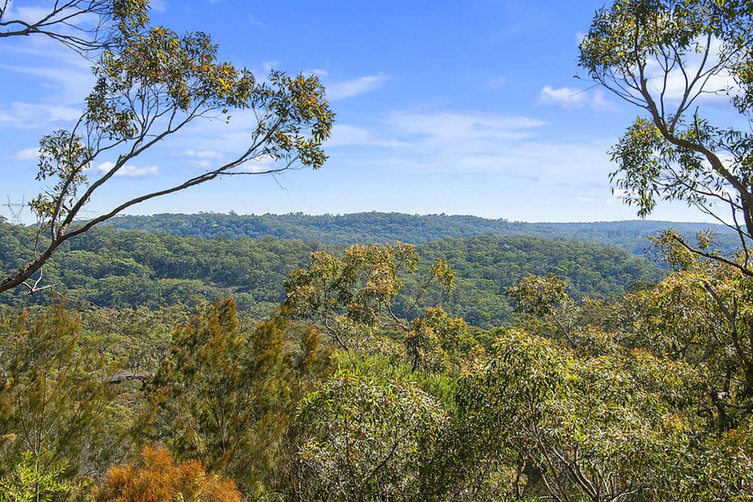 Main view of Homely house listing, 31 Bowral Close, Hornsby Heights NSW 2077