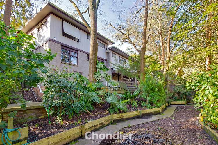 Second view of Homely house listing, 84 Kaola Street, Belgrave VIC 3160