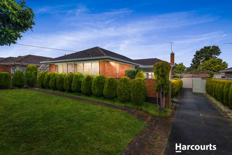 Main view of Homely house listing, 14 Cooper Avenue, Glen Waverley VIC 3150