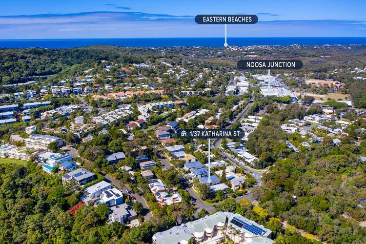 Second view of Homely apartment listing, 1/37 Katharina Street, Noosa Heads QLD 4567