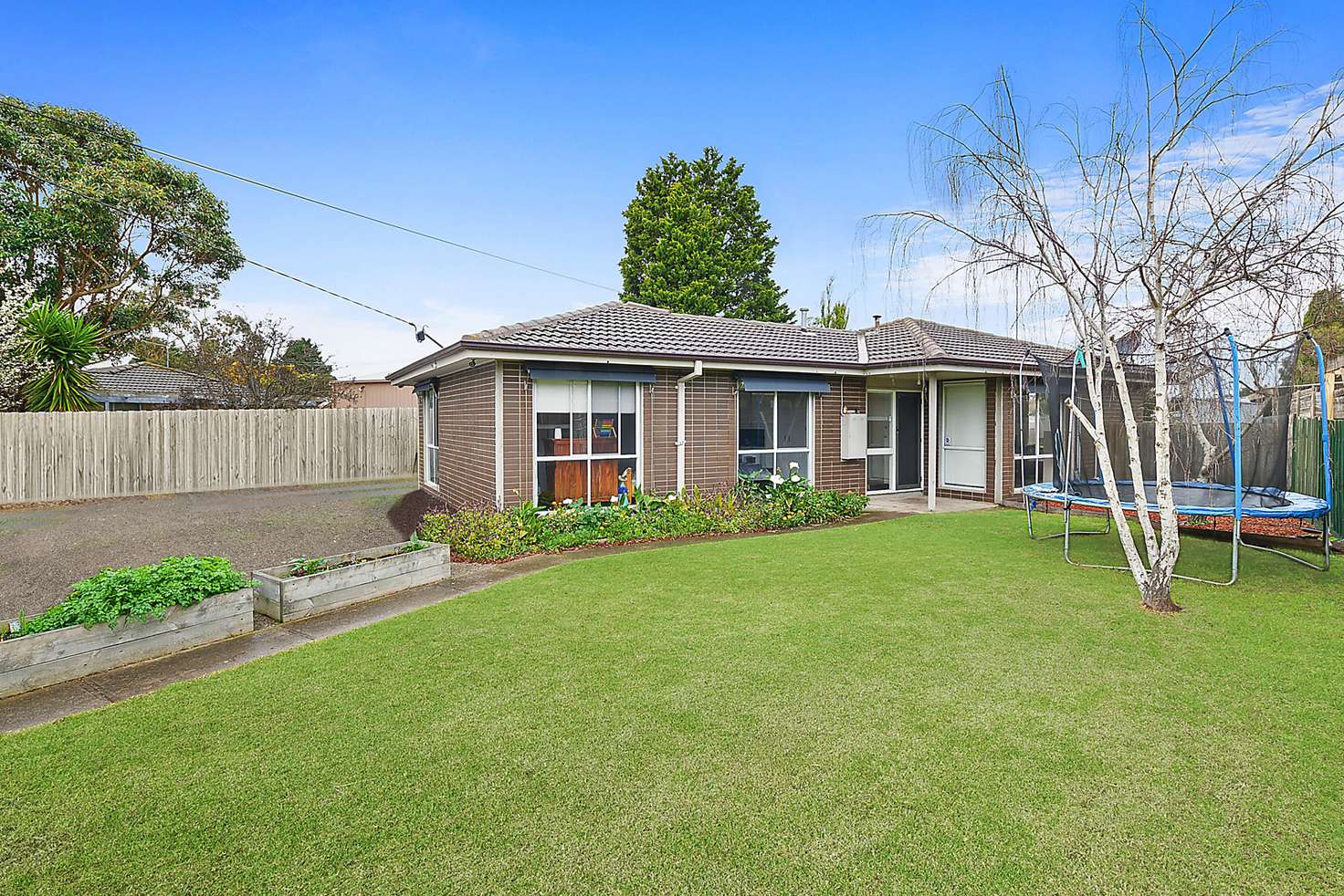 Main view of Homely house listing, 169 Solar Drive, Whittington VIC 3219