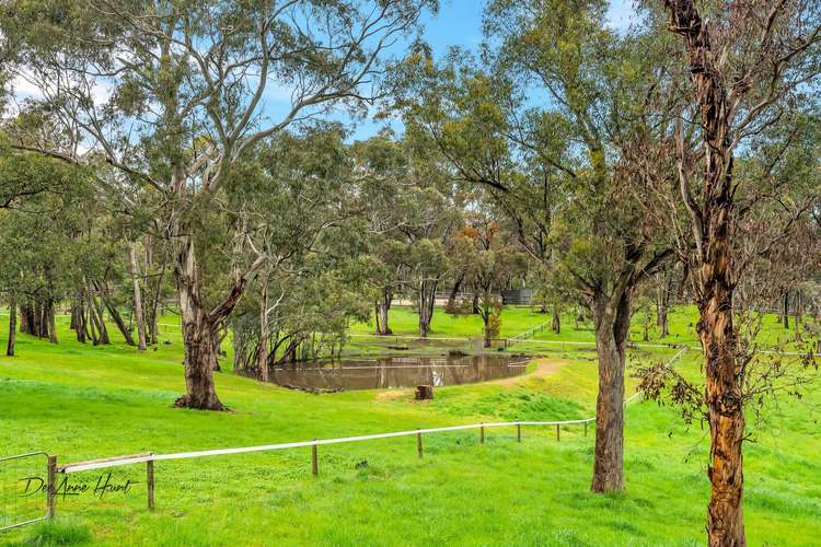 Third view of Homely acreageSemiRural listing, 56 Darby Road, Echunga SA 5153