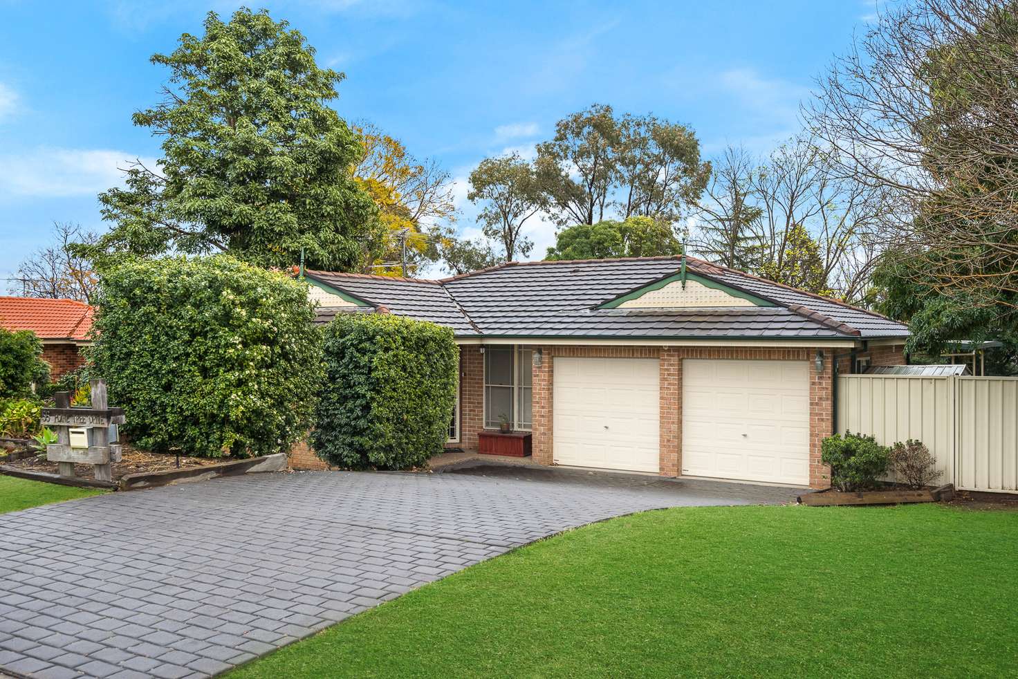Main view of Homely house listing, 55 Plane Tree Drive, Narellan Vale NSW 2567