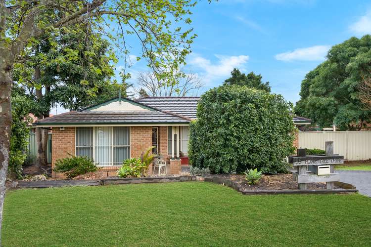 Second view of Homely house listing, 55 Plane Tree Drive, Narellan Vale NSW 2567