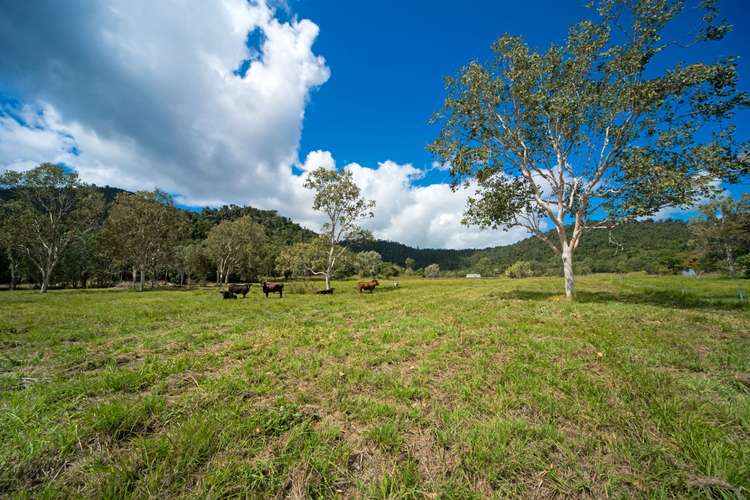 122 Patullo Road, Gregory River QLD 4800