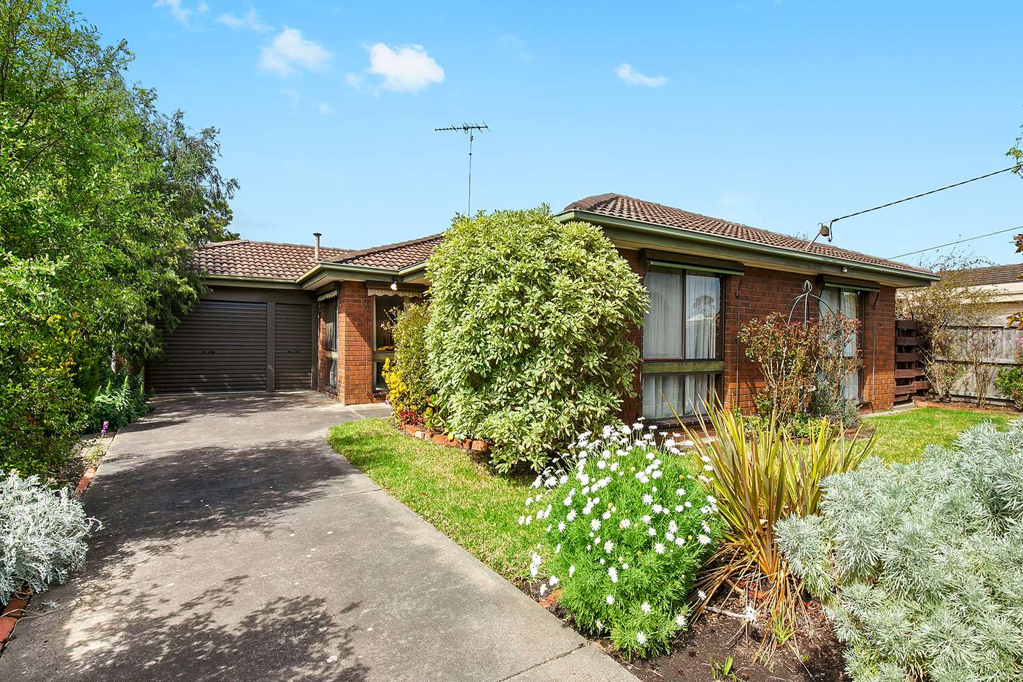 Main view of Homely house listing, 1 Cortland Drive, Highton VIC 3216