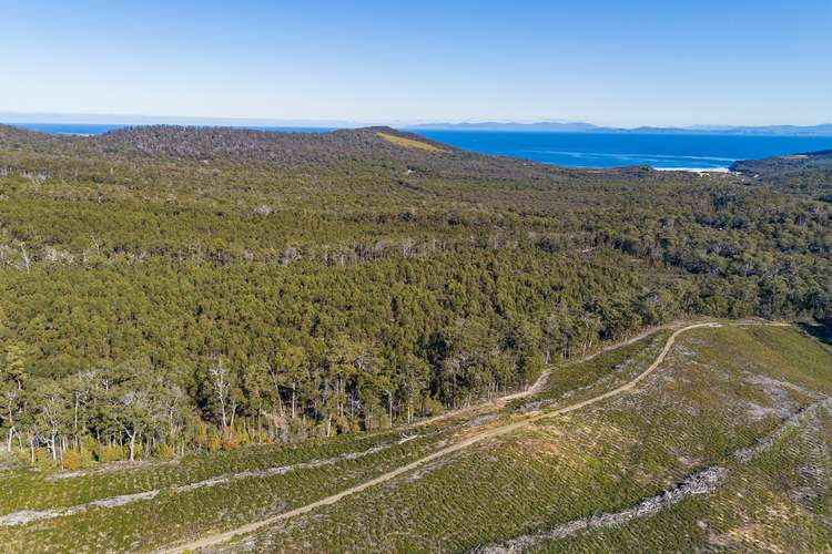 Main view of Homely residentialLand listing, Lot 1 A Roaring Beach Road, Nubeena TAS 7184