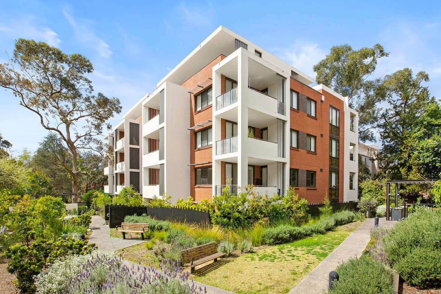 Main view of Homely apartment listing, 006/11 Victoria Street, Roseville NSW 2069