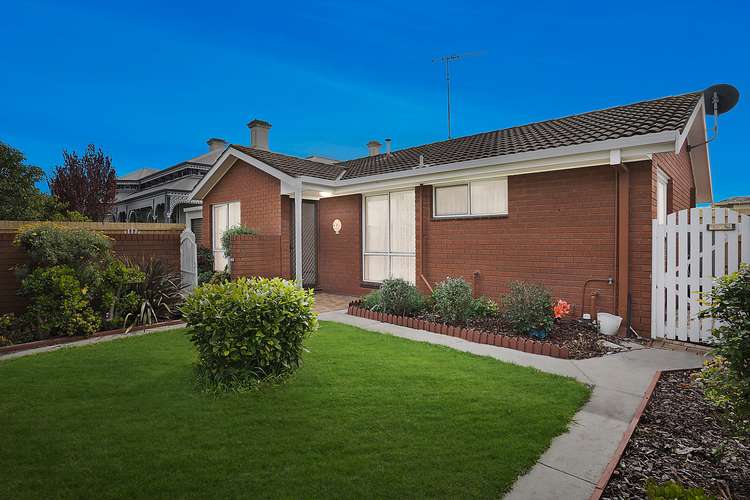 300 Autumn Street, Herne Hill VIC 3218