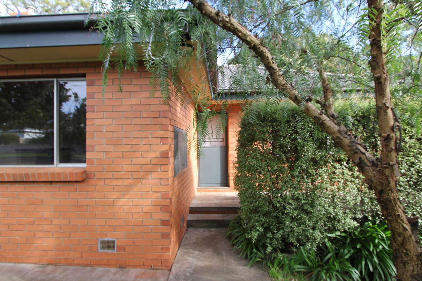 Main view of Homely house listing, 24 Alexander Avenue, Cowes VIC 3922