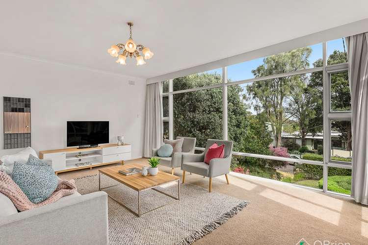 Third view of Homely house listing, 3 Baringhup Street, Cheltenham VIC 3192