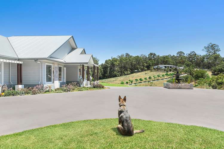 Sixth view of Homely house listing, 18 Parsons Knob Road South, Hunchy QLD 4555