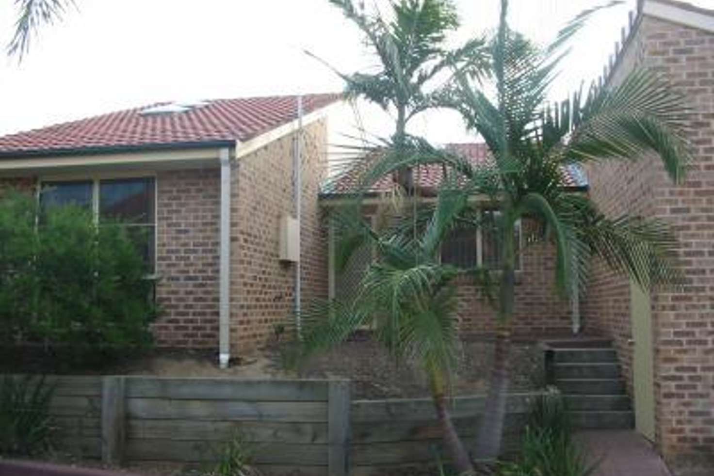 Main view of Homely villa listing, 7/387 Wentworth Avenue, Toongabbie NSW 2146