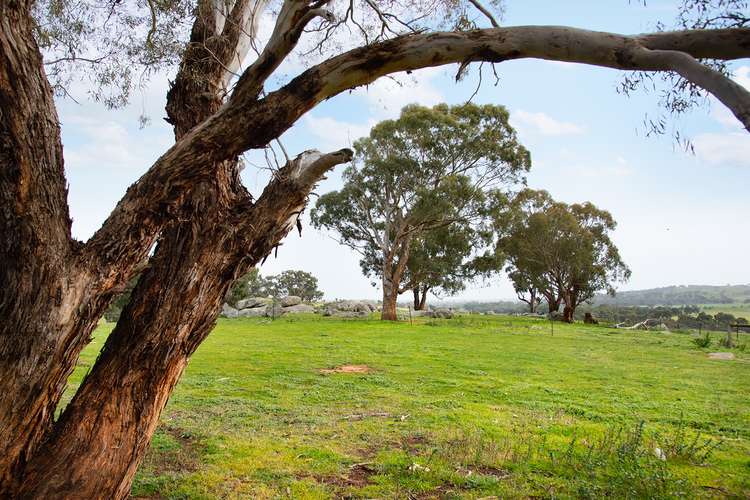 Fourth view of Homely residentialLand listing, 420 Baringhup Road, Baringhup VIC 3463